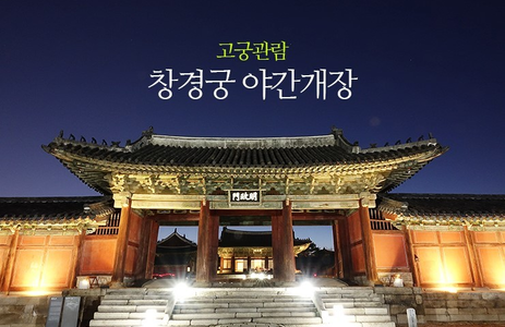 오피스타 핫플레이스 서울창경궁
