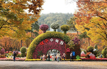 오피스타 대구 대구수목원