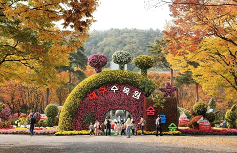 오피스타 핫플레이스 대구대구수목원