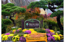 오피스타 가평 아침고요수목원