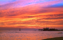 오피스타 강원 정동진