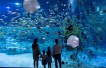 오피스타 서울 롯데월드 아쿠아리움