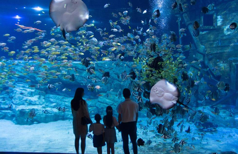 오피스타 핫플레이스 서울롯데월드 아쿠아리움