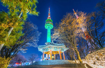 오피스타 서울 남산타워