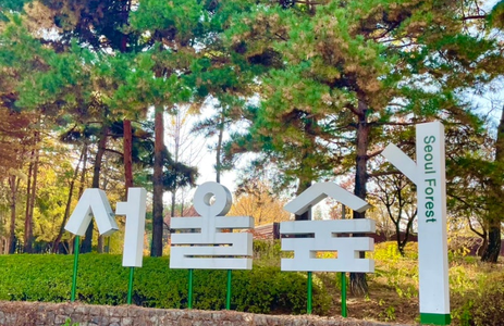 오피스타 핫플레이스 서울서울숲공원